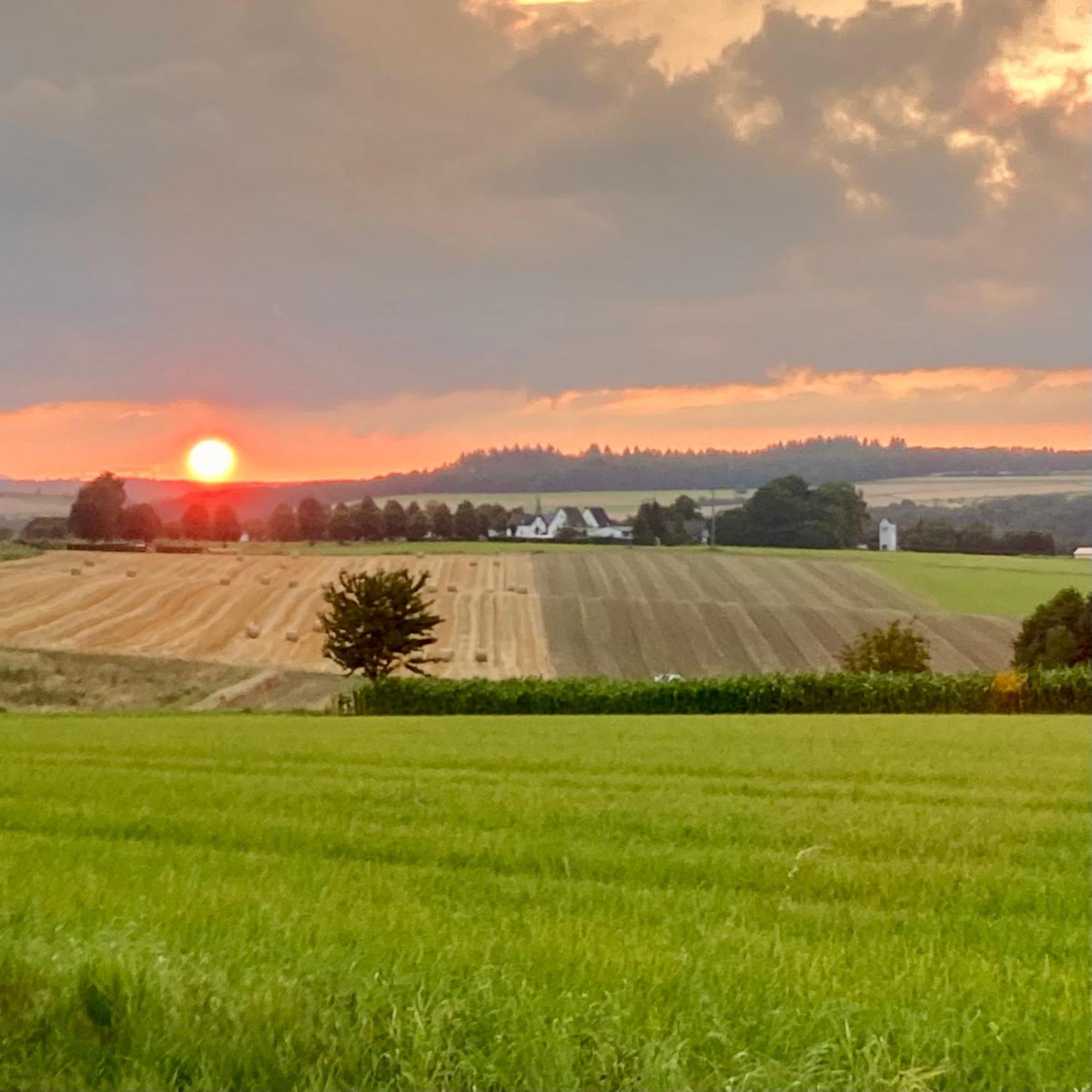 Landhaus Laux Schmitt Kültér fotó